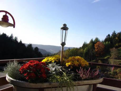 Md Waldhotel Palmspring Bad Peterstal-Griesbach Εξωτερικό φωτογραφία